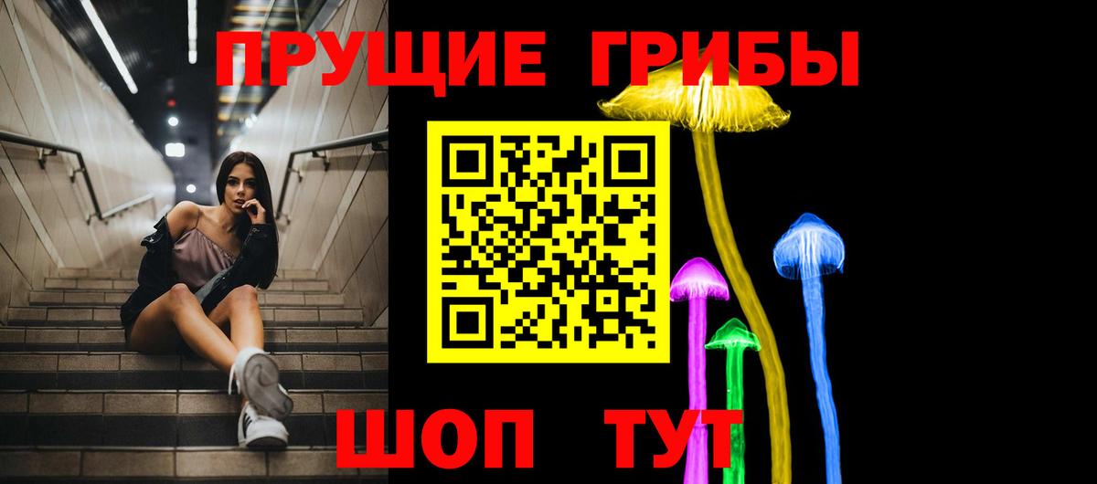 Галлюциногенные грибы Psilocybine cubensis Чебоксары