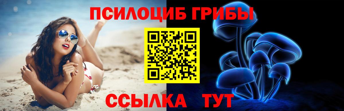 Псилоцибиновые грибы MAGIC MUSHROOMS  Псилоцибиновые грибы MAGIC MUSHROOMS  Вход с VPN  Чебоксары 